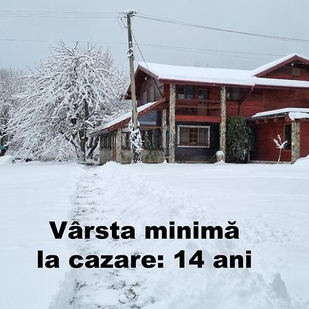 Casa Bunicului Villa Vistisoara Exteriör bild
