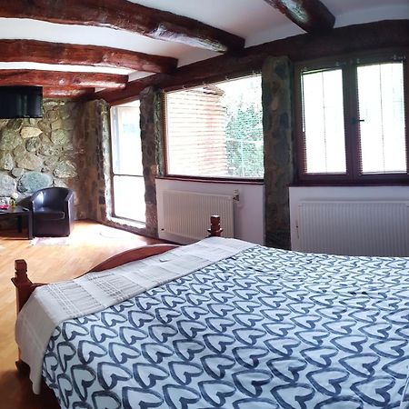 Casa Bunicului Villa Vistisoara Rum bild