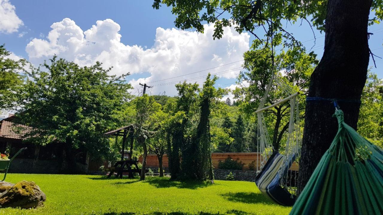 Casa Bunicului Villa Vistisoara Exteriör bild