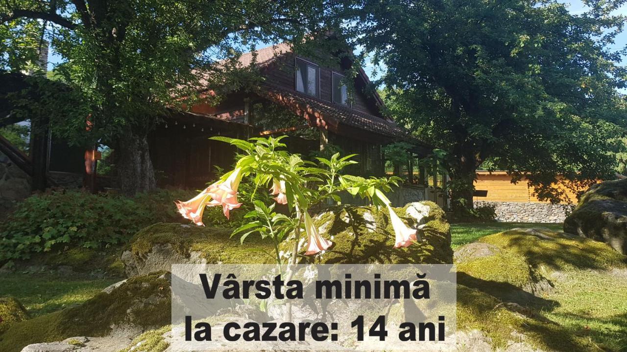 Casa Bunicului Villa Vistisoara Exteriör bild