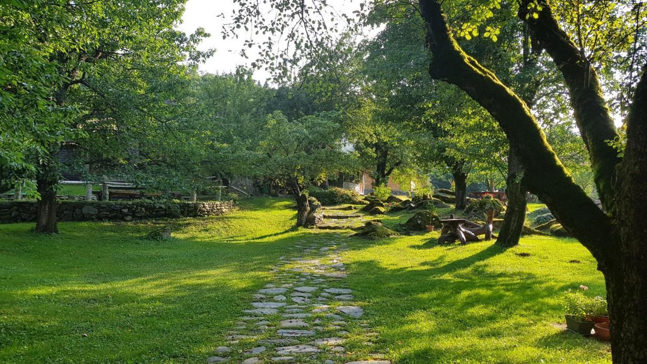Casa Bunicului Villa Vistisoara Exteriör bild