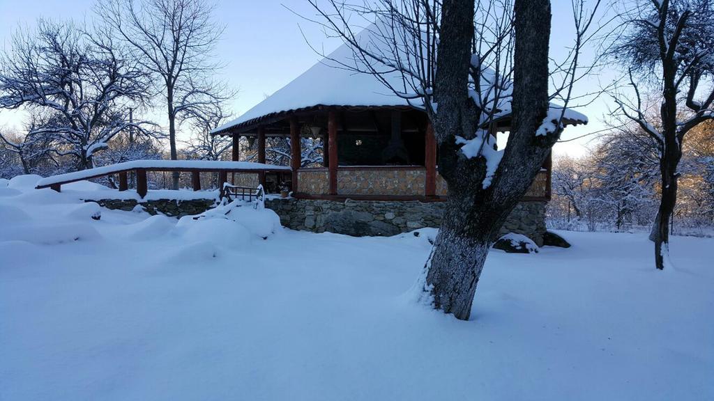 Casa Bunicului Villa Vistisoara Exteriör bild