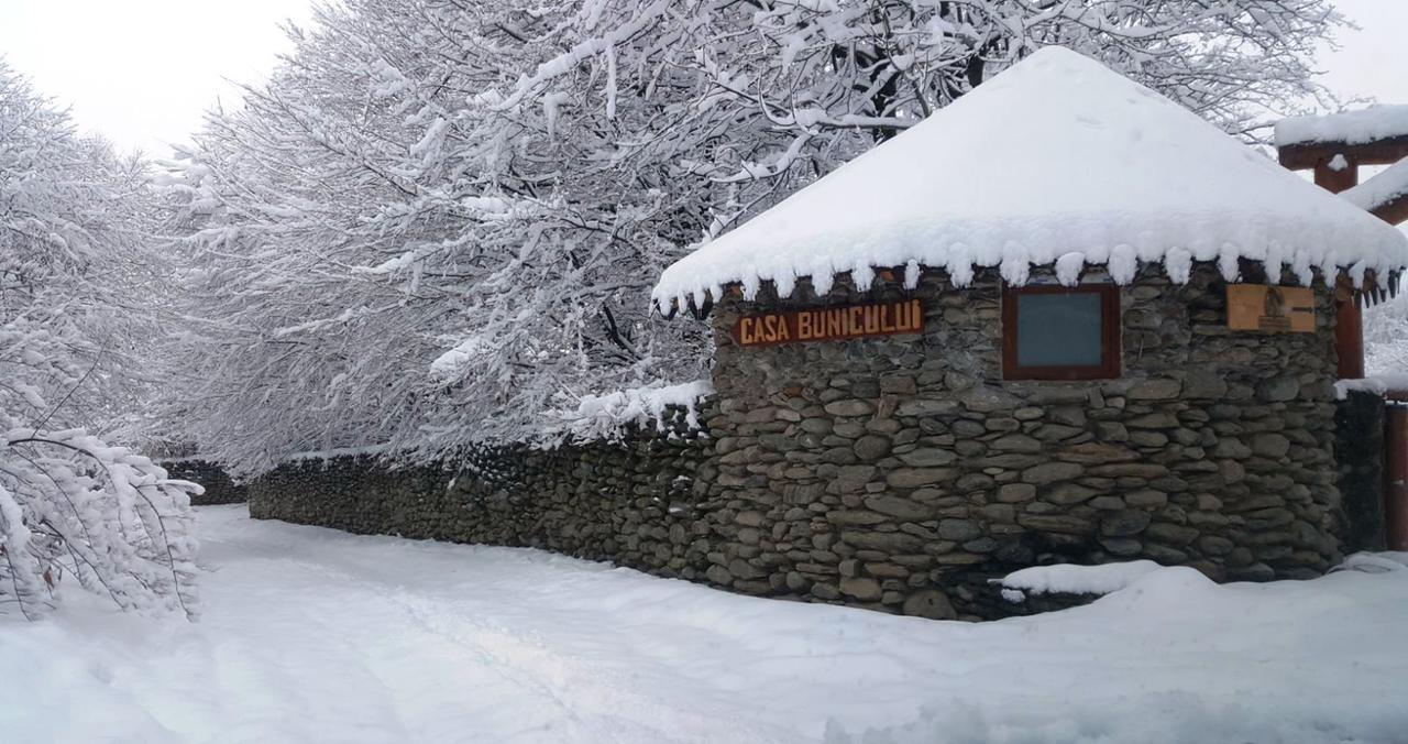 Casa Bunicului Villa Vistisoara Exteriör bild