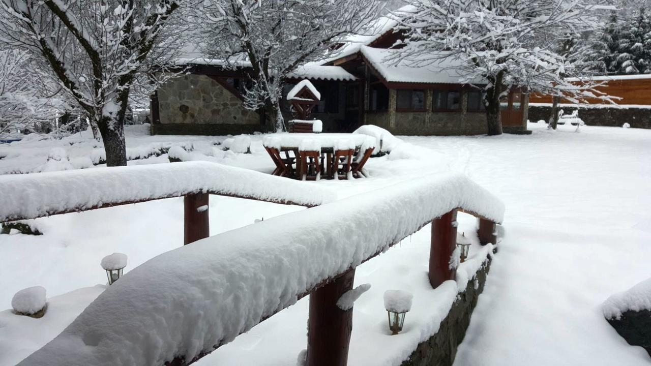 Casa Bunicului Villa Vistisoara Exteriör bild