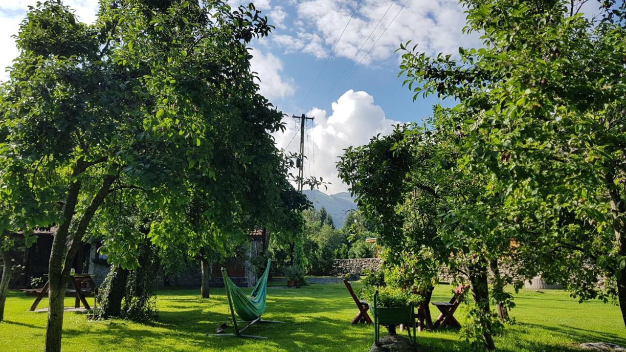 Casa Bunicului Villa Vistisoara Exteriör bild