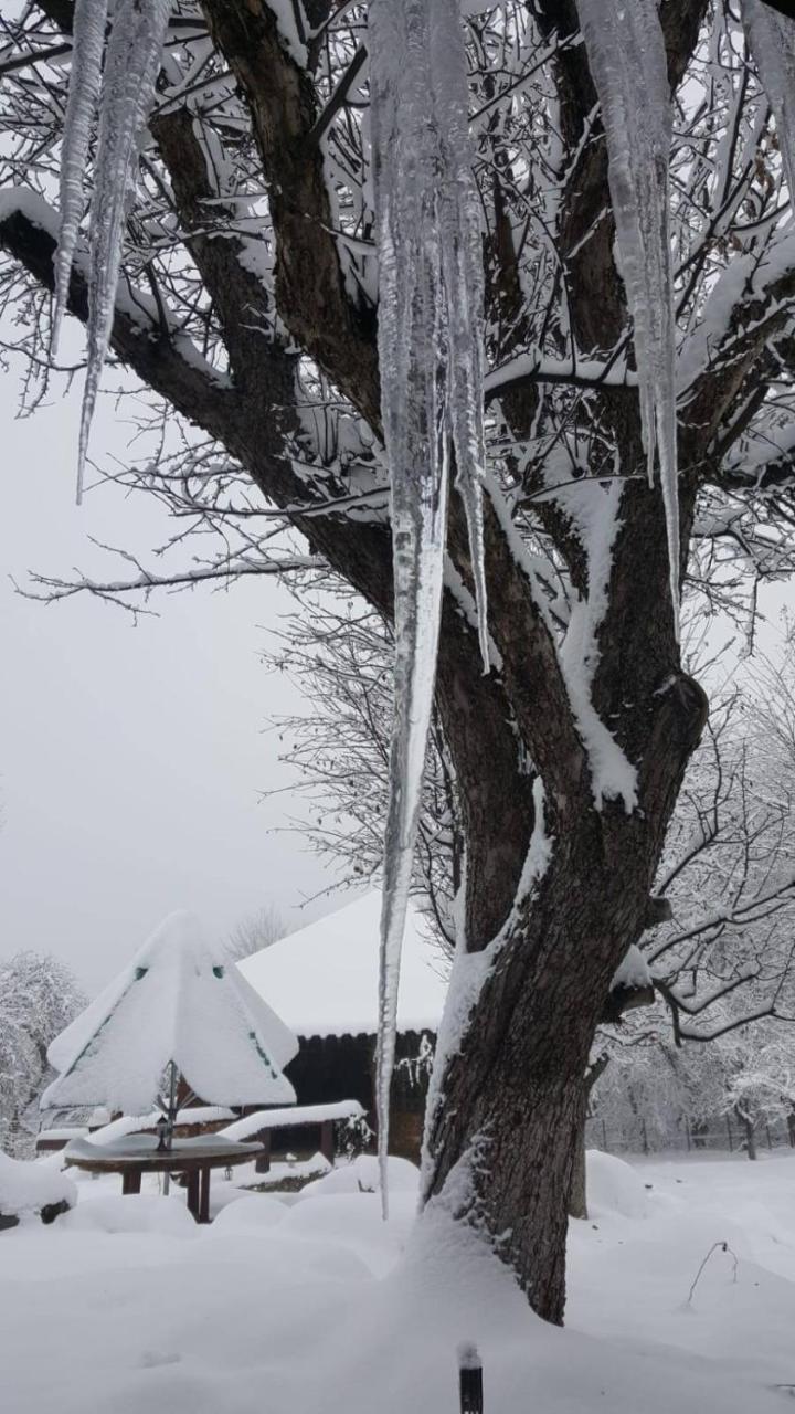 Casa Bunicului Villa Vistisoara Exteriör bild