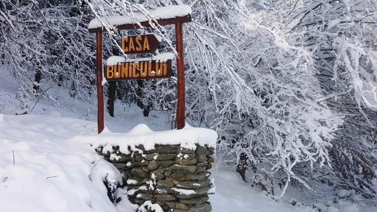 Casa Bunicului Villa Vistisoara Exteriör bild