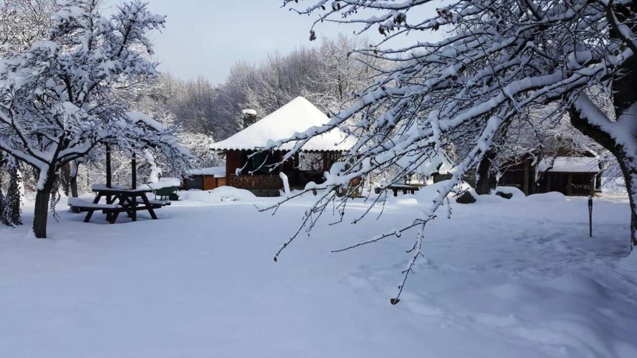 Casa Bunicului Villa Vistisoara Exteriör bild